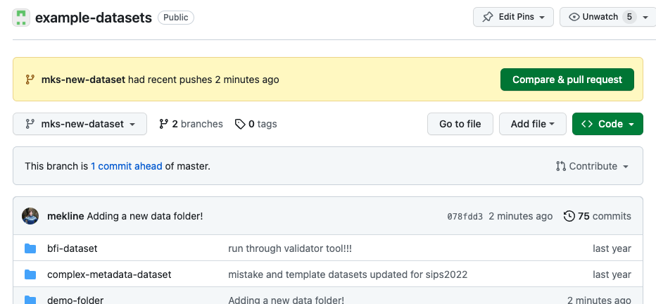 screenshot of pull request message