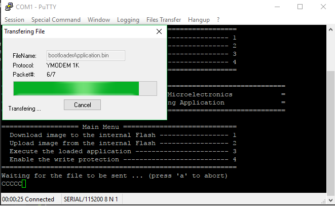 Bootloader sequence