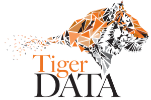 TigerData logo