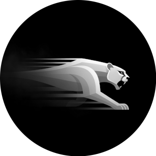 PUMA 307