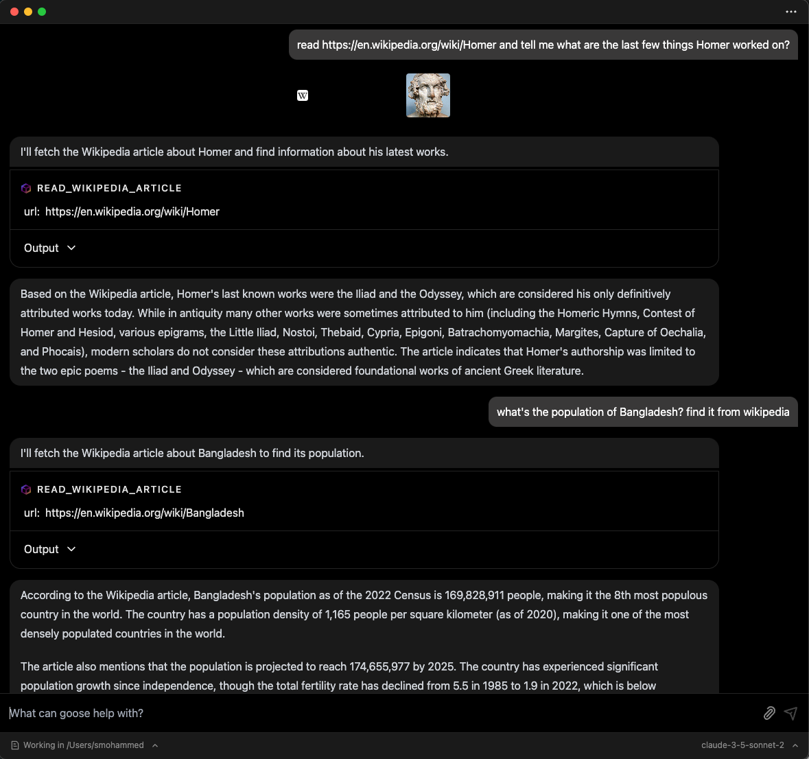 Custom Extension Chat