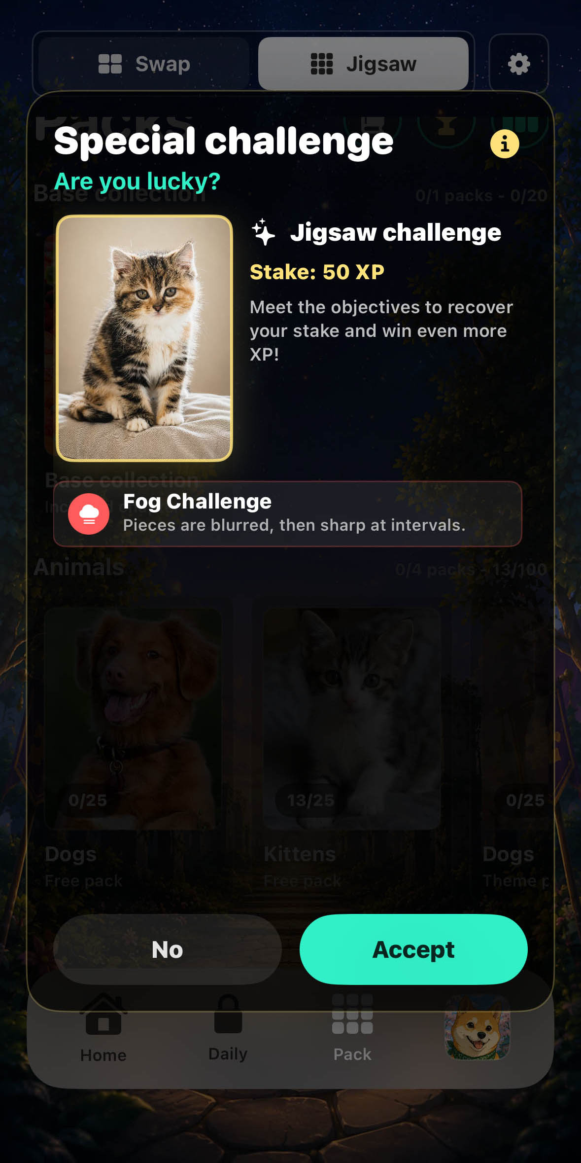 Puzzle Memories collection preview