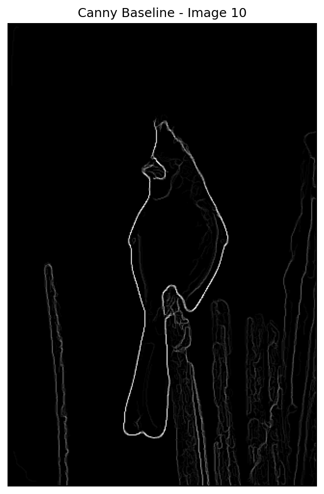 Canny baseline 10