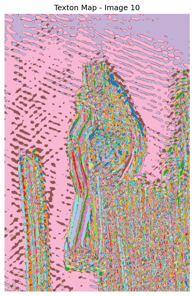 Texton map 10