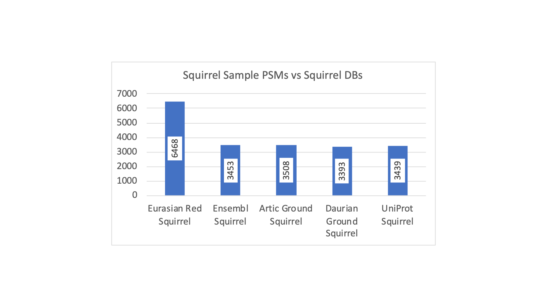 Squirrel DBs