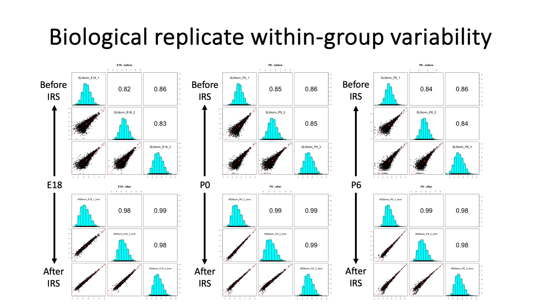 Slide 10