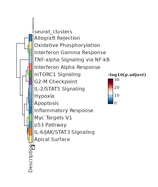 Heatmap of enriched terms of all clusters