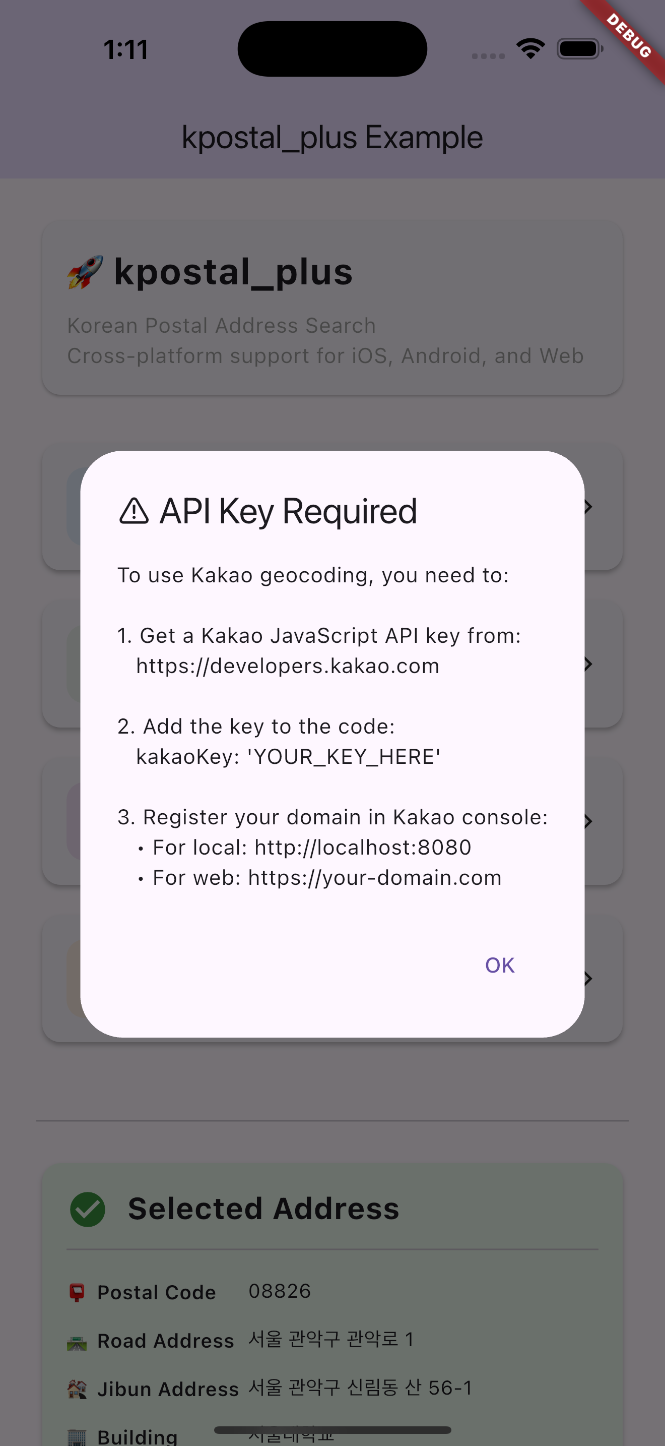 API Key Dialog