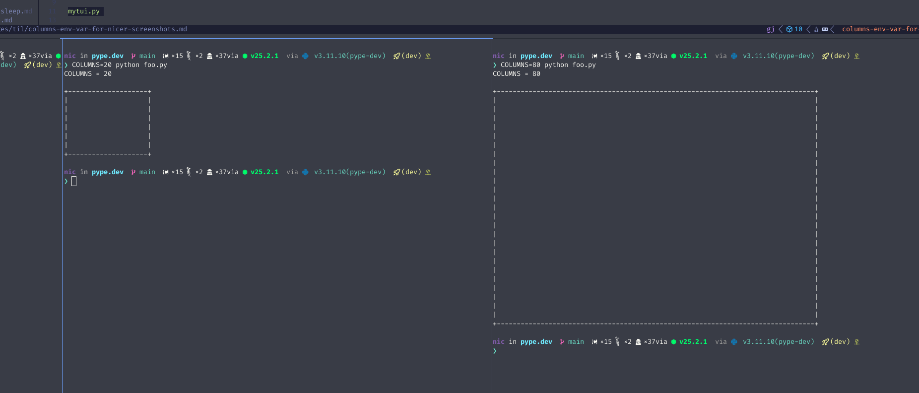 COLUMNS Env Var For Nicer Screenshots