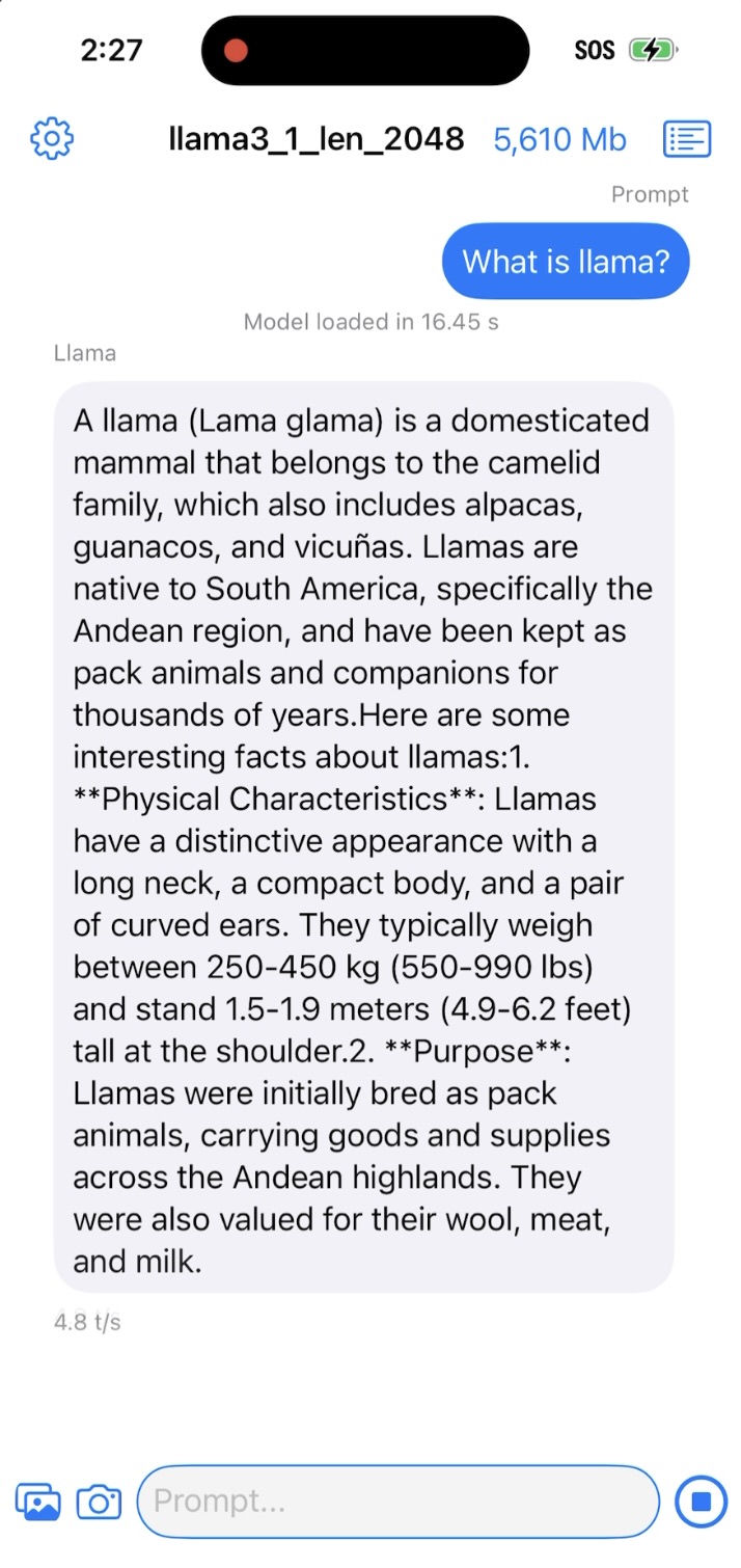 iOS LLaMA App