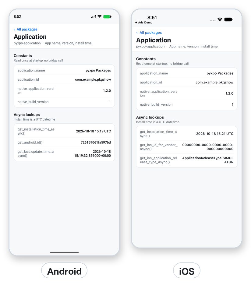 App name, id, version, build, install time and platform ids on Android and iOS.