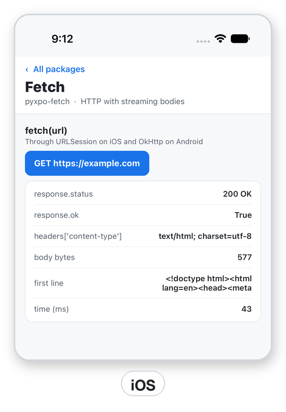 The iOS result of fetch(): status, content type, body size, first line and time.