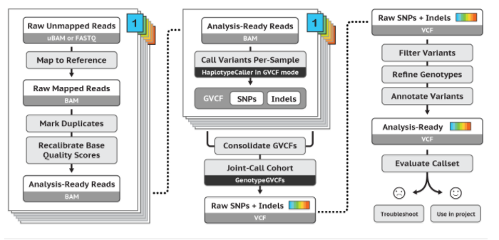 Dbsnp Vcf Download