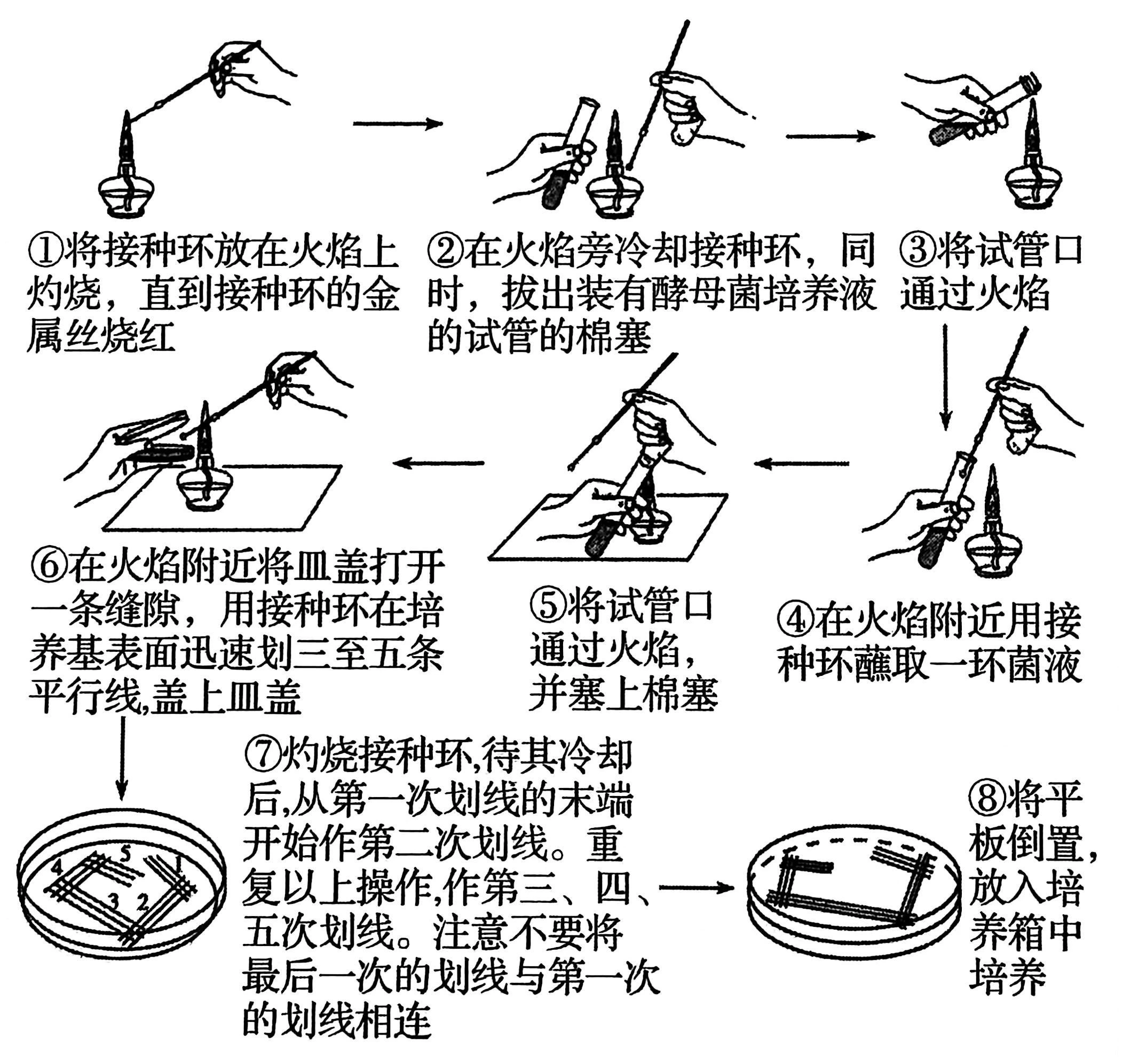 平板划线法
