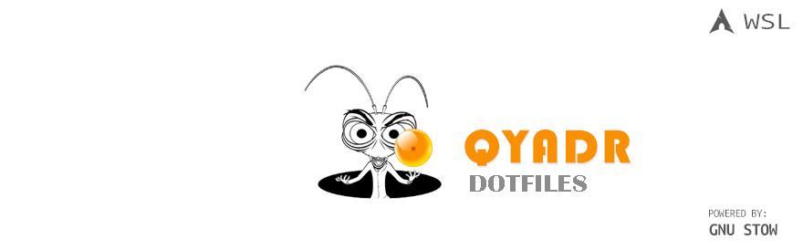 qyadr logo