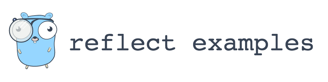 Golang reflect package examples