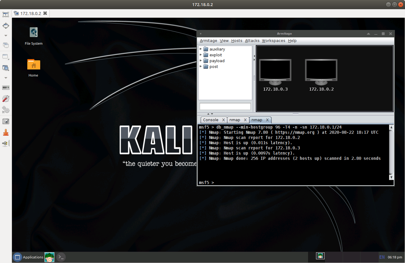 kali vnc