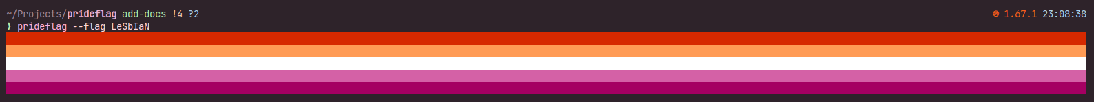 Output of the program, run with --flag LeSbIaN (lesbian is written with weird casing)