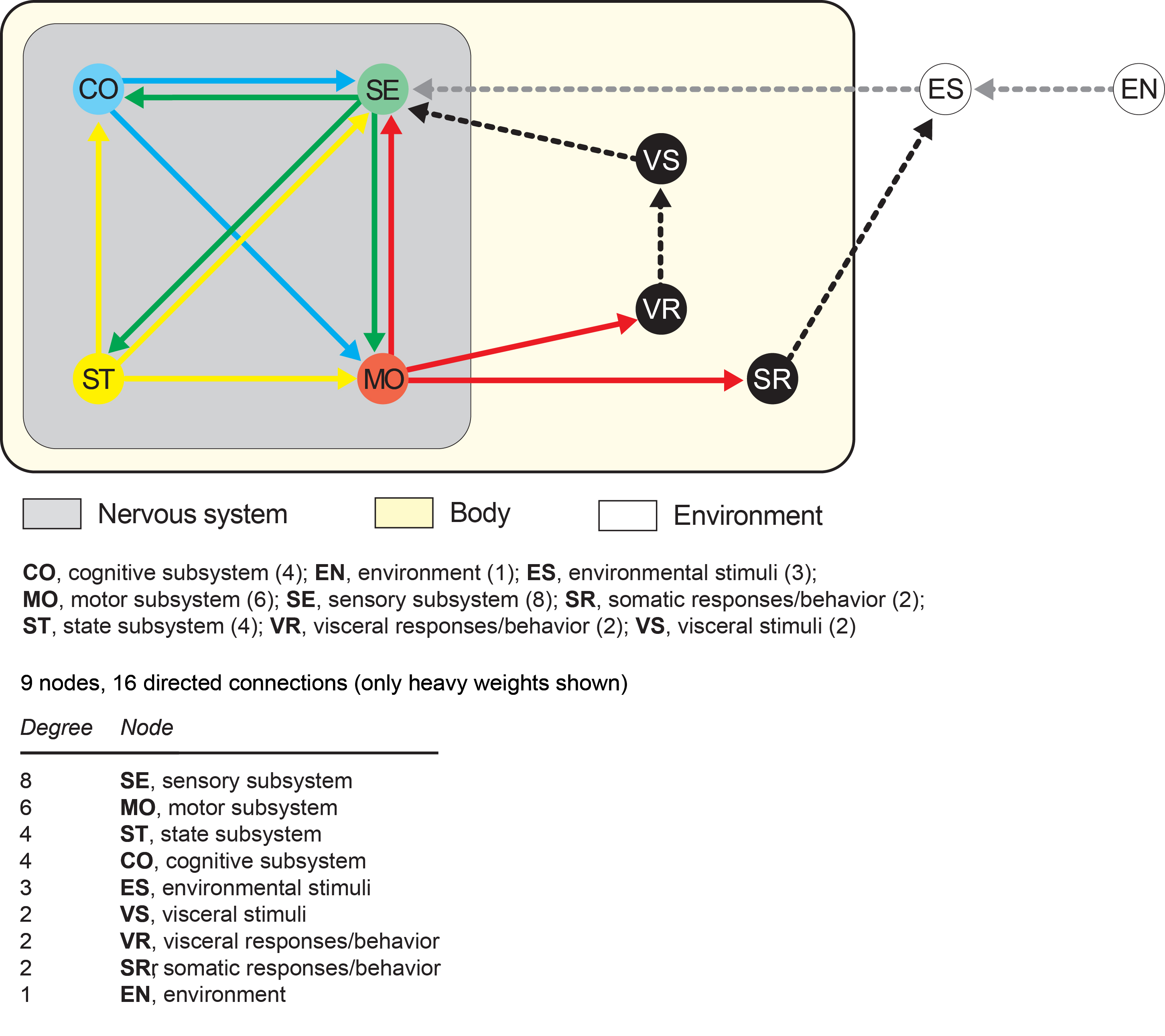 Graph of the 4-systems network model of the nervous system