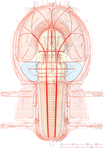 Atlas of flatmaps