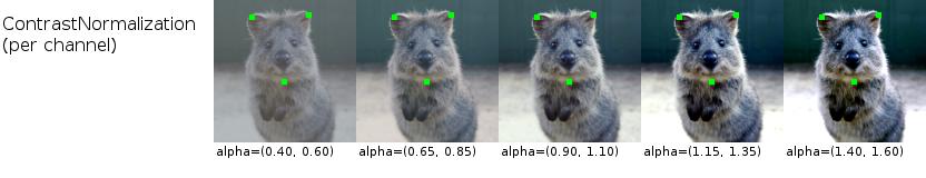 ContrastNormalization per channel