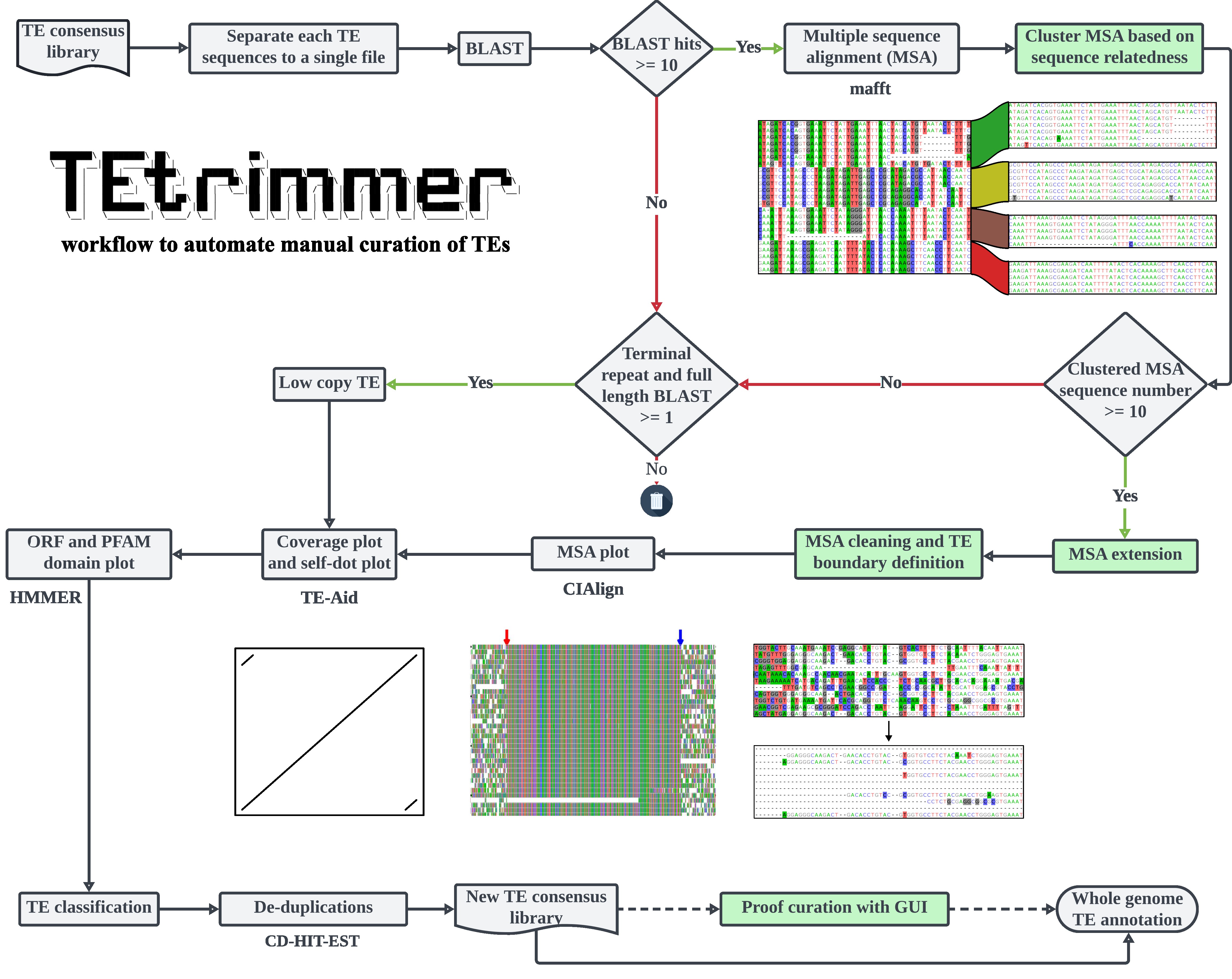 TEtrimmerFlowchart