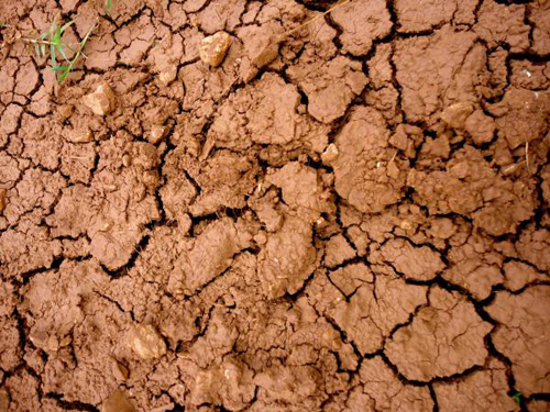 Texture, Clay Soil, Dehydrated Soil Is Not Fertile, Cracking, Not