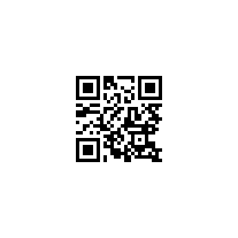 QR code you get with qrize