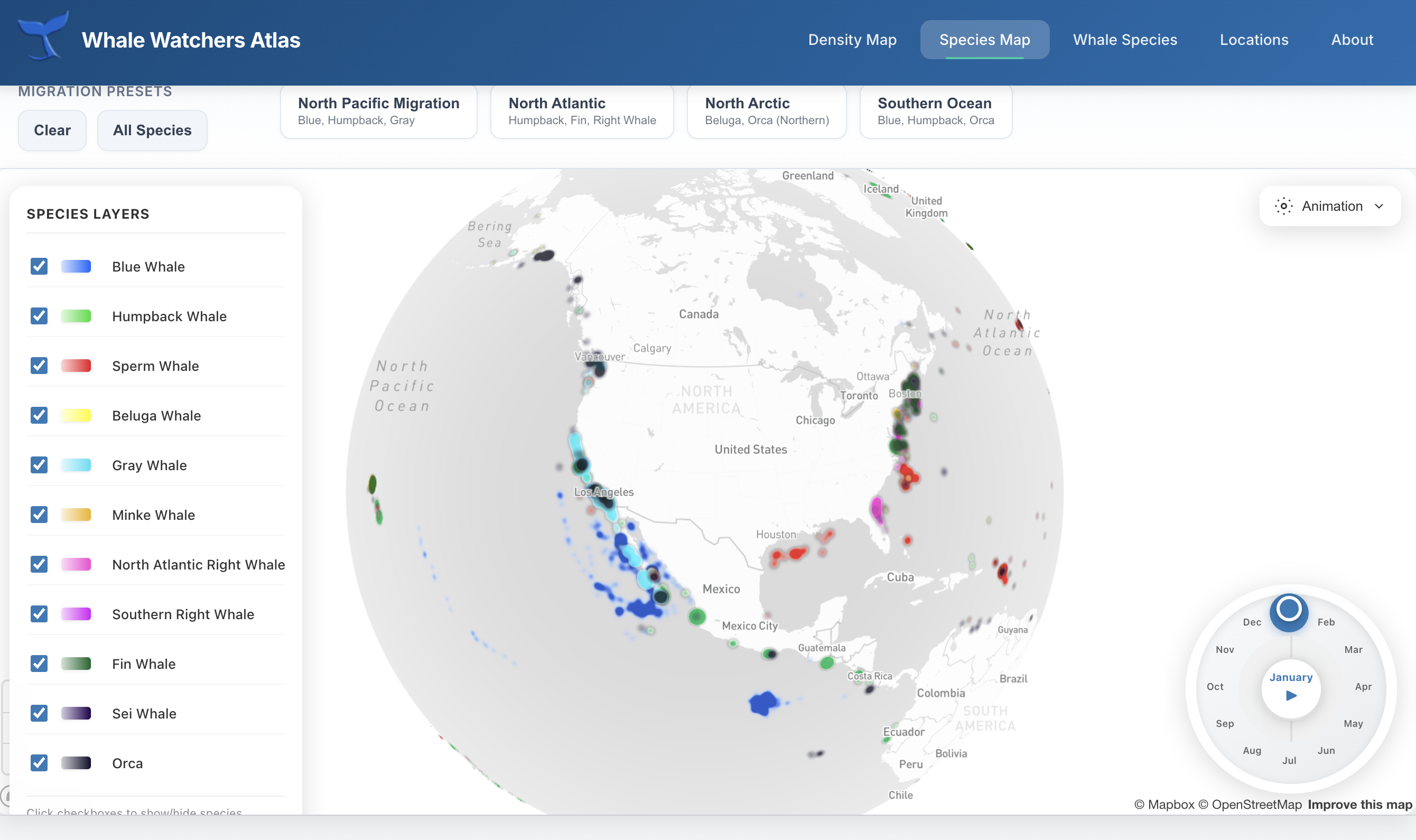 Whale Watchers Atlas