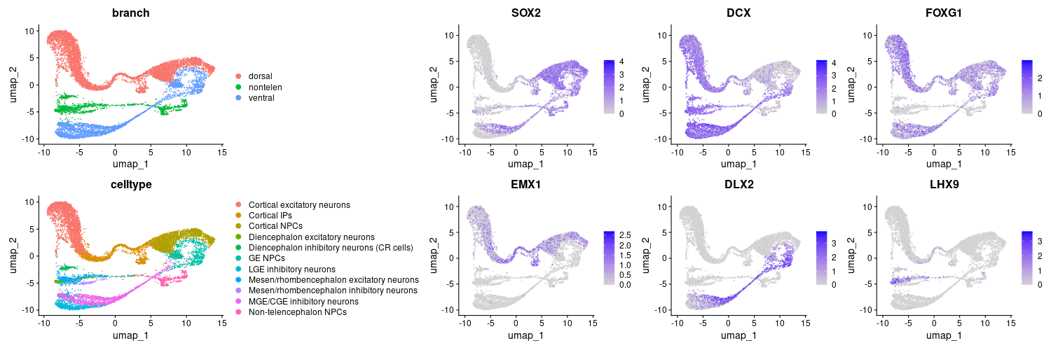 Or if you don't like the dots (individual cells)```RVlnPlot(seurat ...