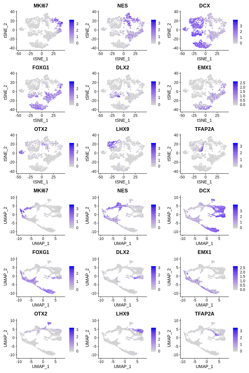 Or if you don't like the dots (individual cells)```RVlnPlot(seurat ...