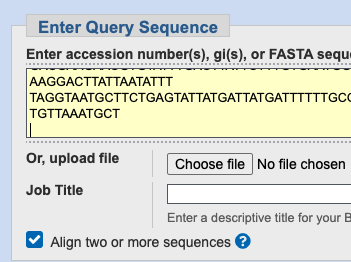 Bl2seq