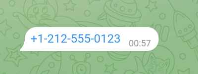 Phone number message screenshot.
