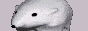 baero