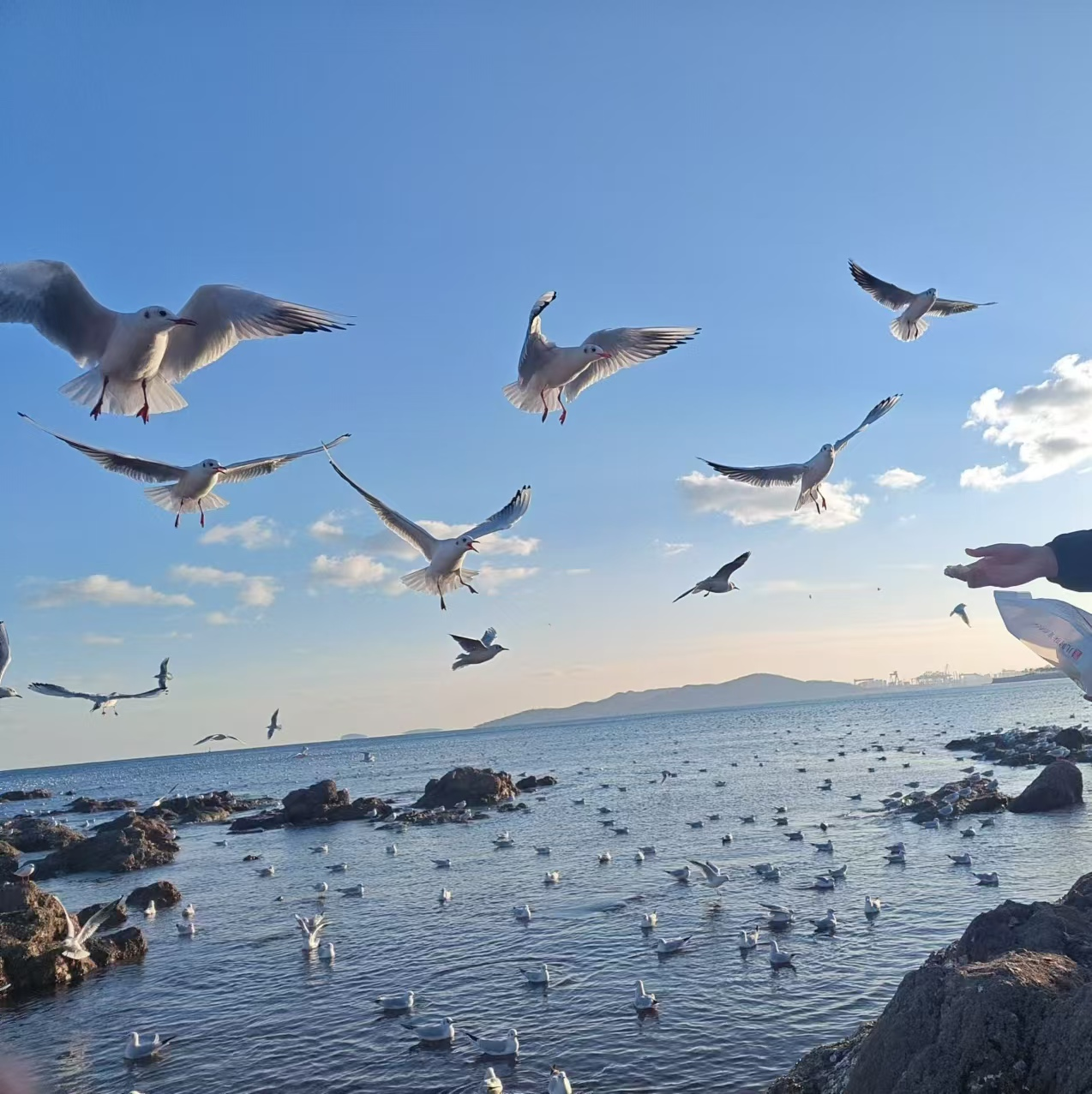 image-20251229145524714