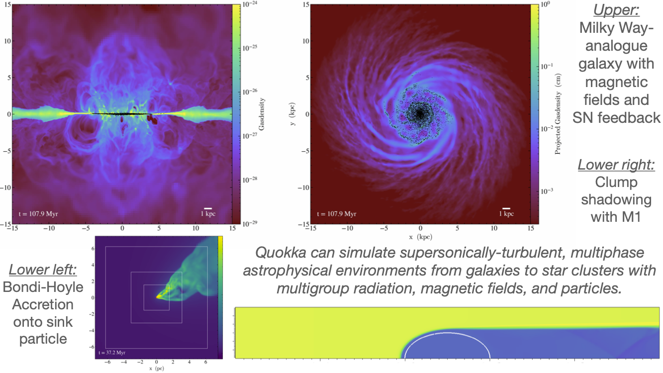 Quokka capabilities showcase graphic