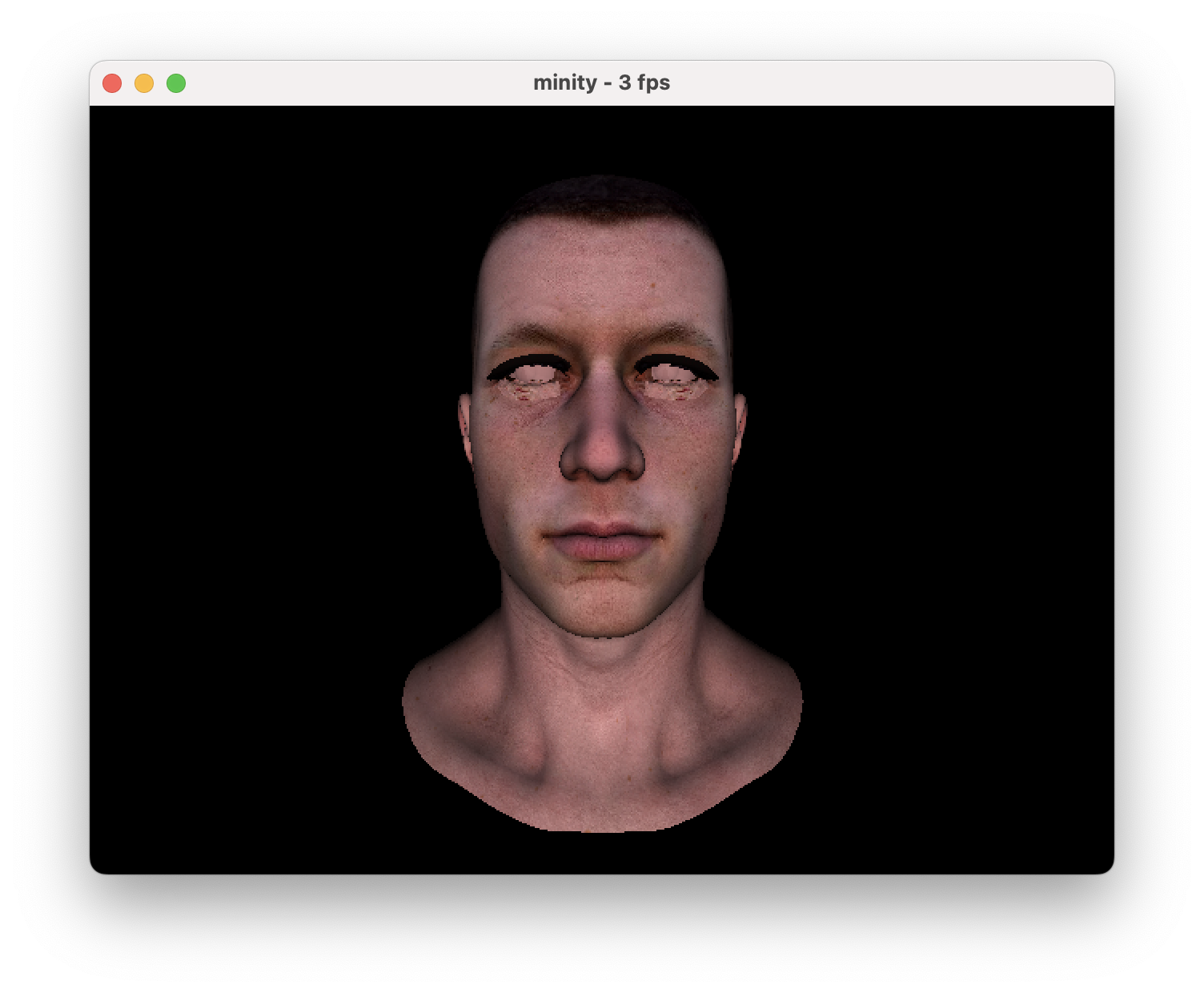 Minity software rendered textured head