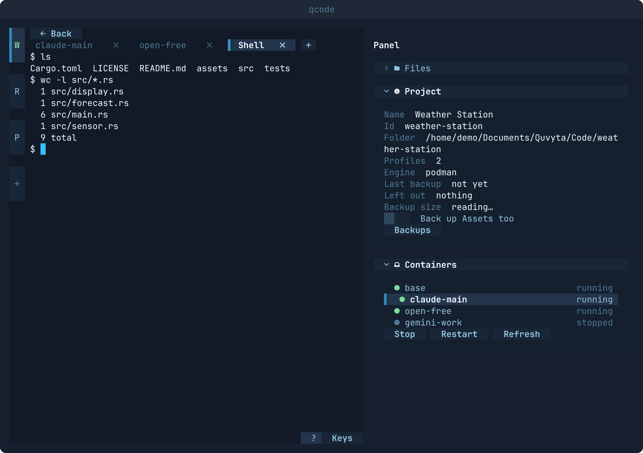 The panel with the project's details and its containers