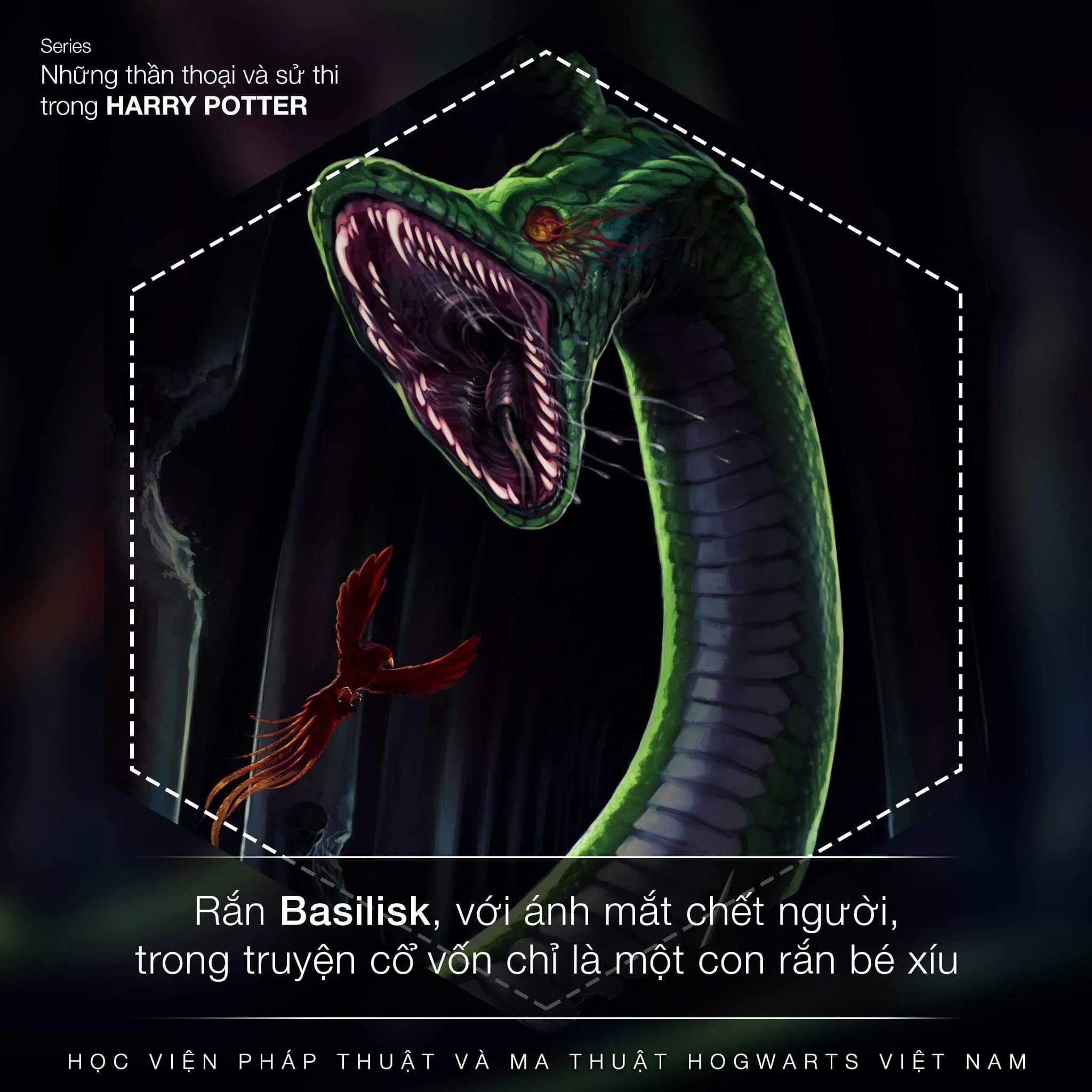 Rắn Basilisk — Tử Xà