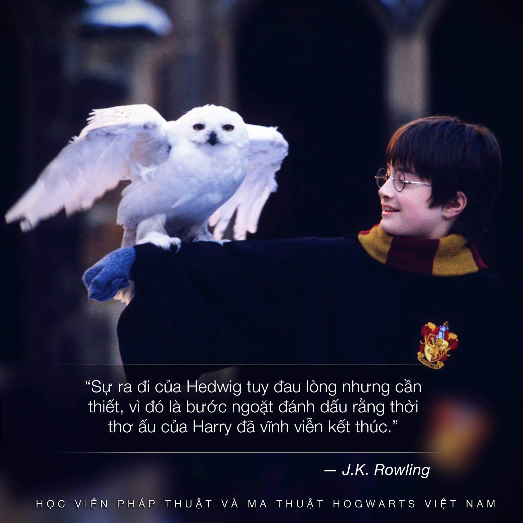 Sự ra đi của Hedwig