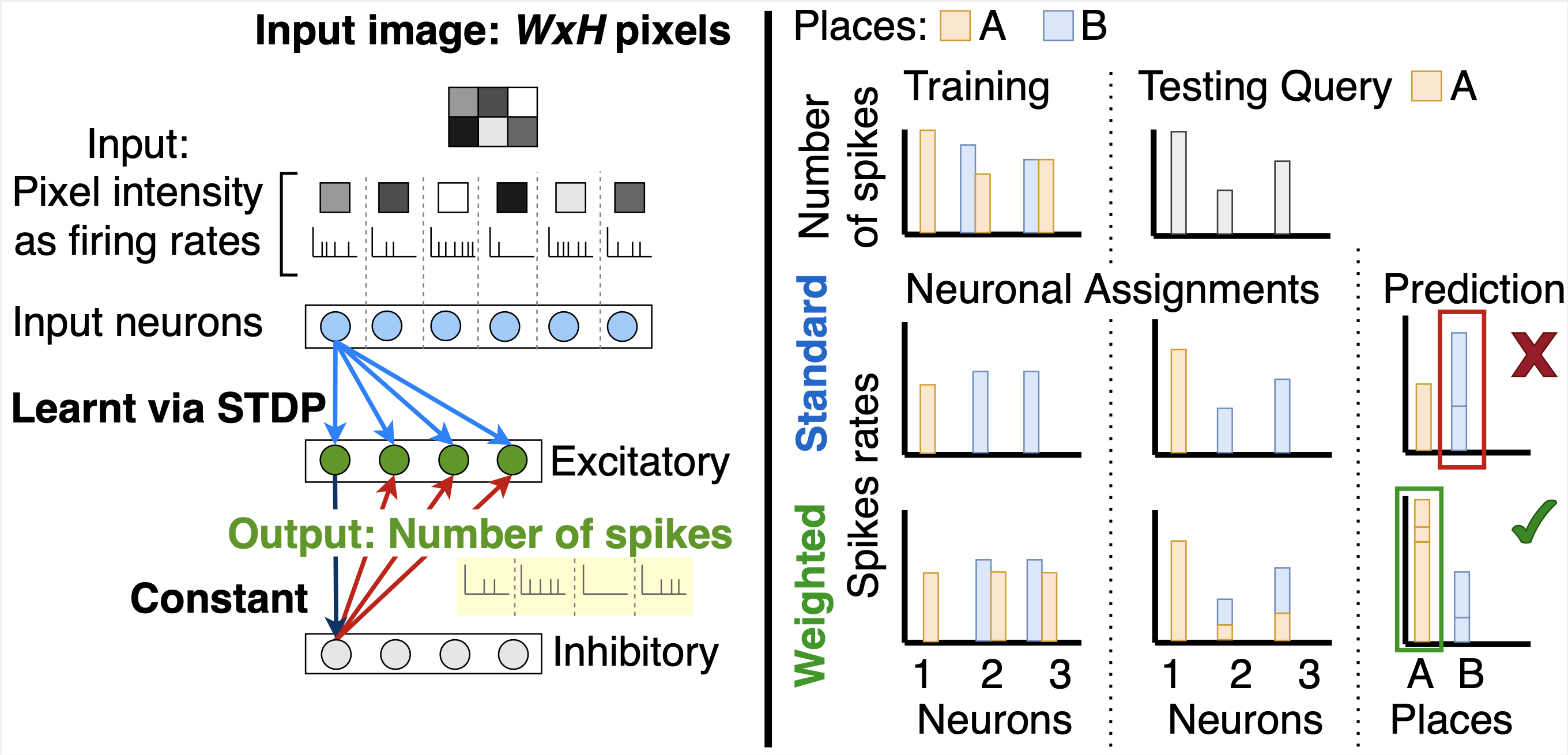 spiking neural network research paper