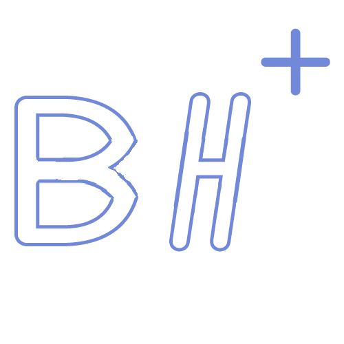 Logo of BetterHosting