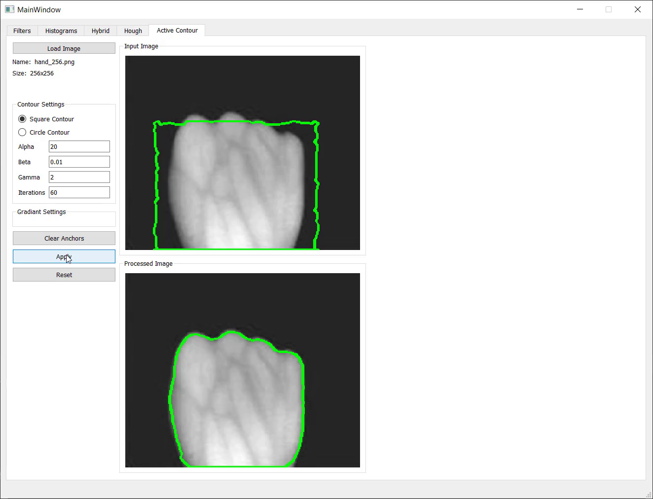 Active Contour Model