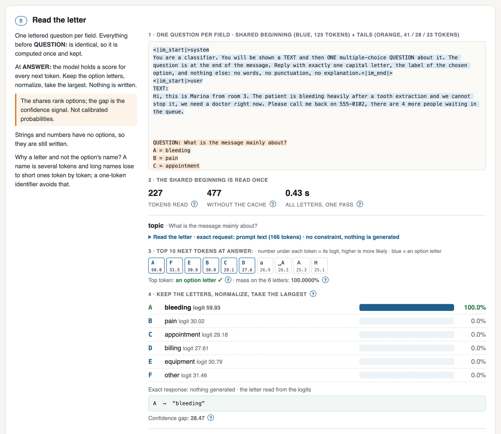 Read the letter: one question per field on a shared prefix, the top next tokens, the letter scores