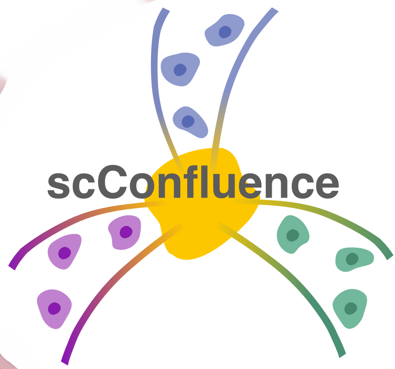 scConfluence