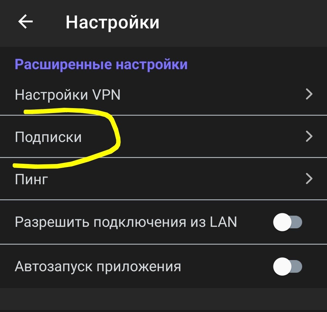 Раздел «Подписки» в расширенных настройках Happ