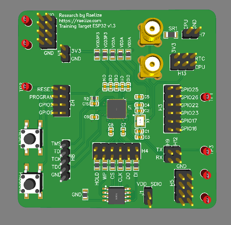 Raelize Training Target v1.3