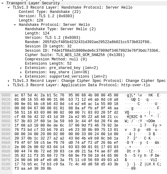 Pacote Wireshark