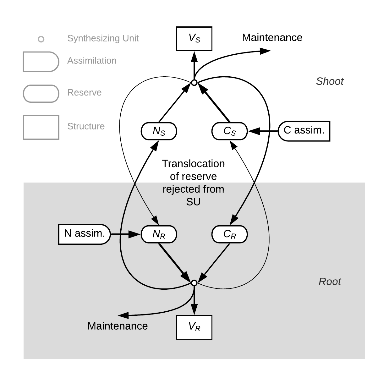 Plant model